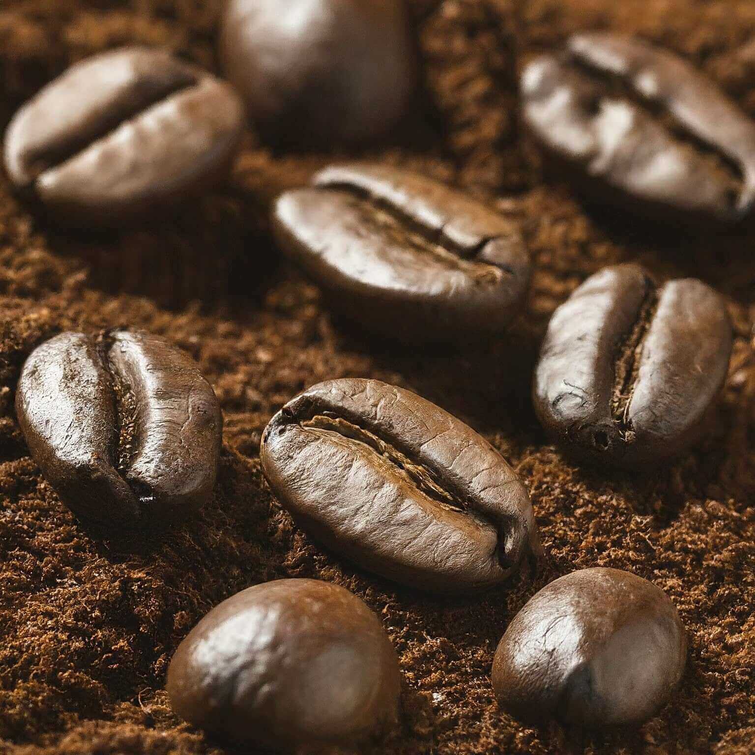 Close-up of roasted coffee beans on a bed of ground coffee