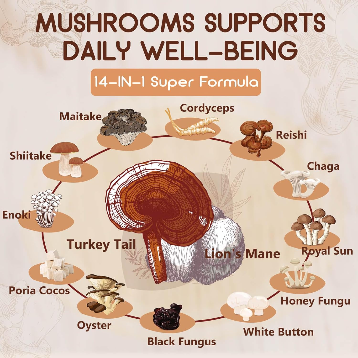 Diagram of various mushrooms with text about their benefits and a '14-IN-1 Super Formula' label.