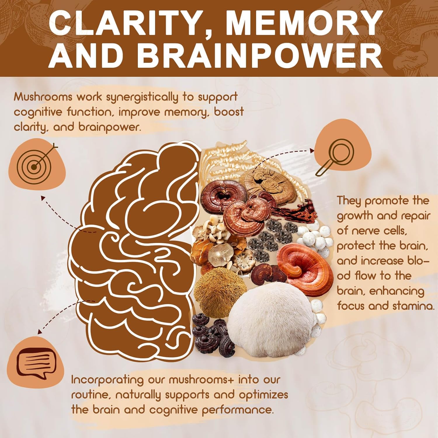 Infographic about mushrooms' effects on clarity, memory, and brainpower with a brain illustration and mushroom images.
