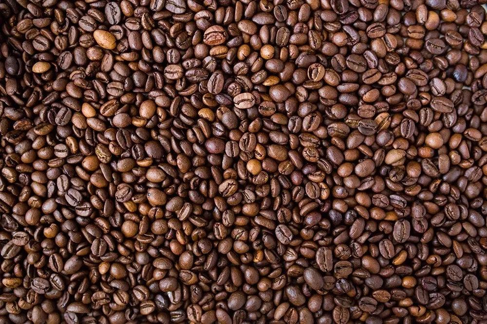 Close-up of roasted coffee beans
