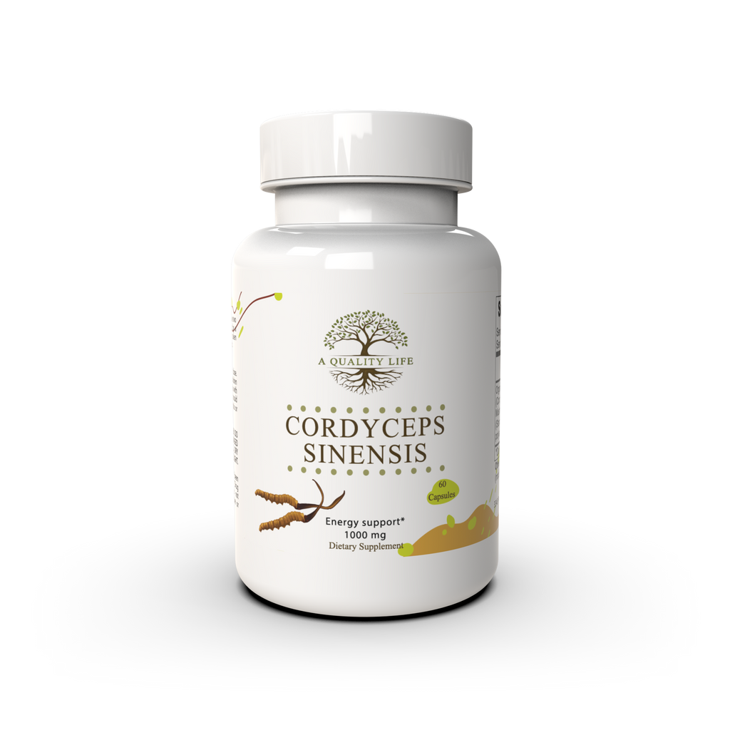 Supplement bottle labeled 'Cordyceps Sinensis' on a white background