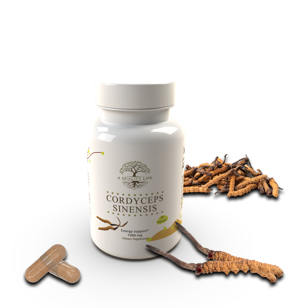 Bottle of Cordyceps Sinensis supplement with dried cordyceps on a white background