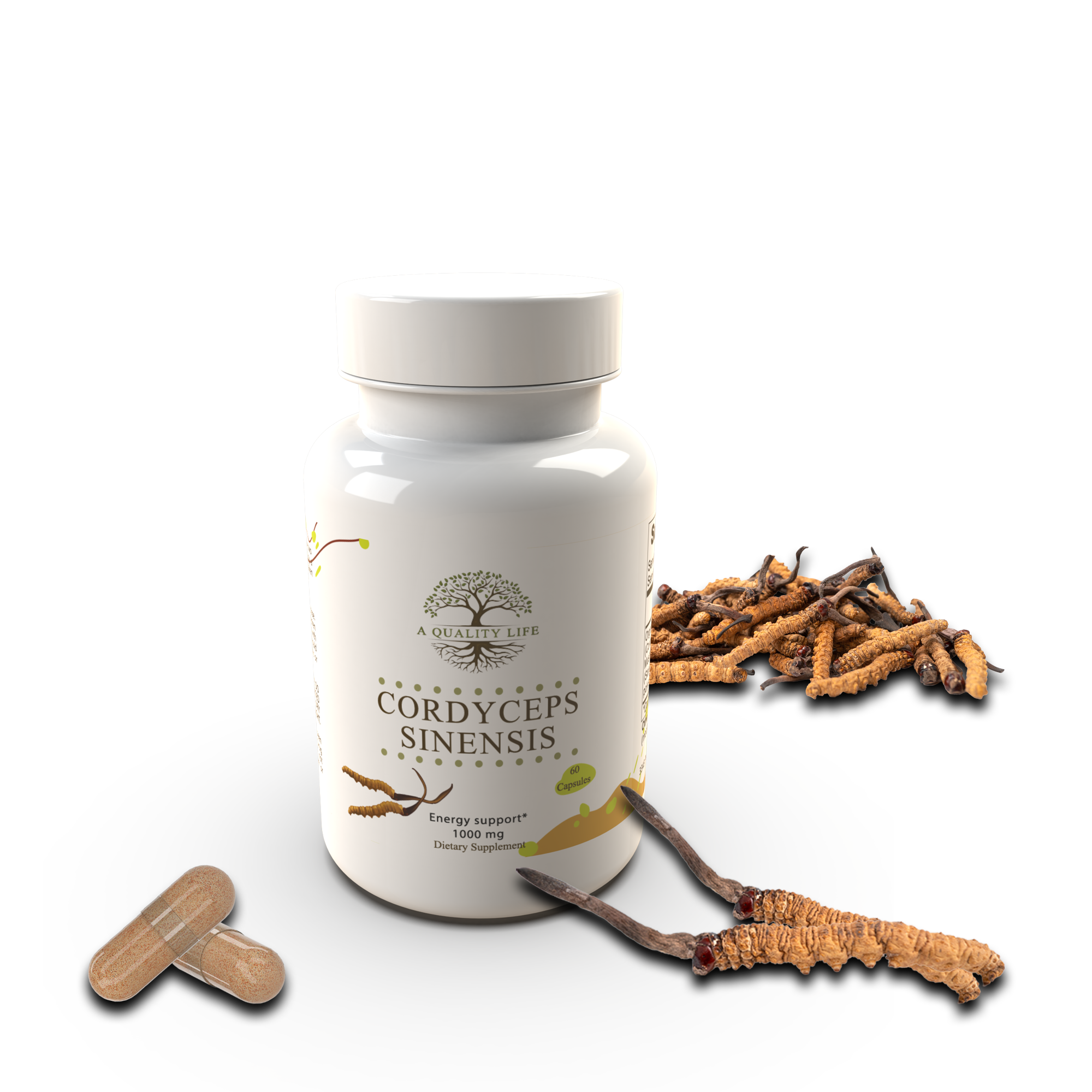 Bottle of Cordyceps Sinensis supplement with dried cordyceps on a white background