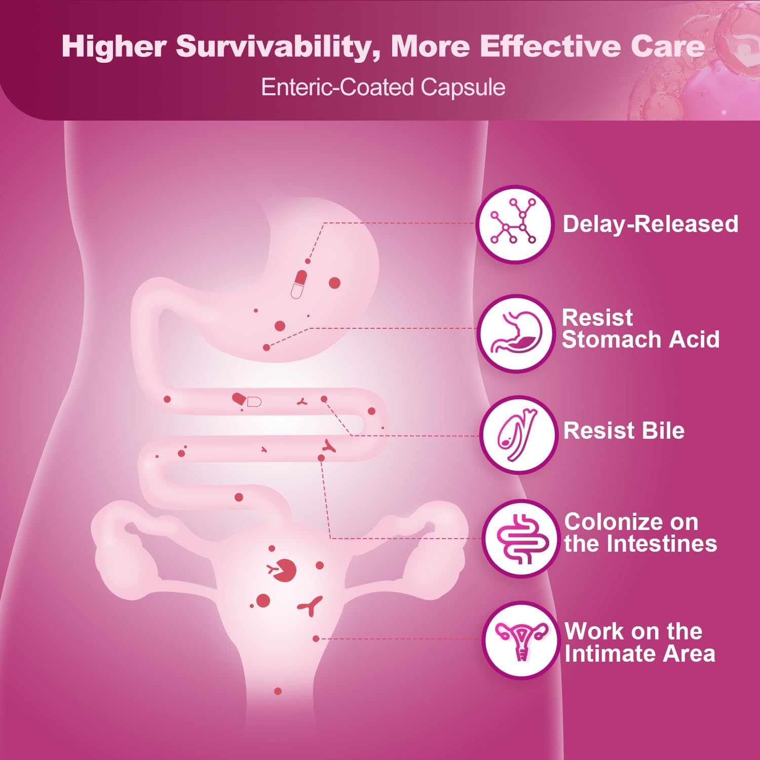 Diagram of a human digestive system with text about enteric-coated capsules on a pink background