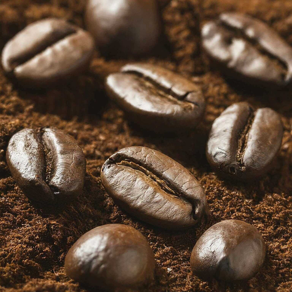 Close-up of roasted coffee beans on a bed of ground coffee