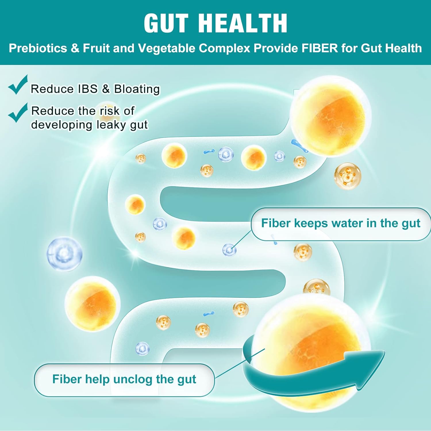 Diagram of gut health with prebiotics, fruit, and vegetable complex providing fiber.
