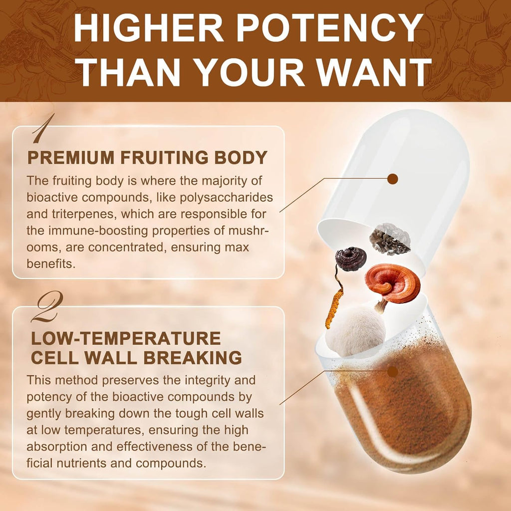 Infographic about mushroom cultivation with text and a visual of a mushroom fruiting body.
