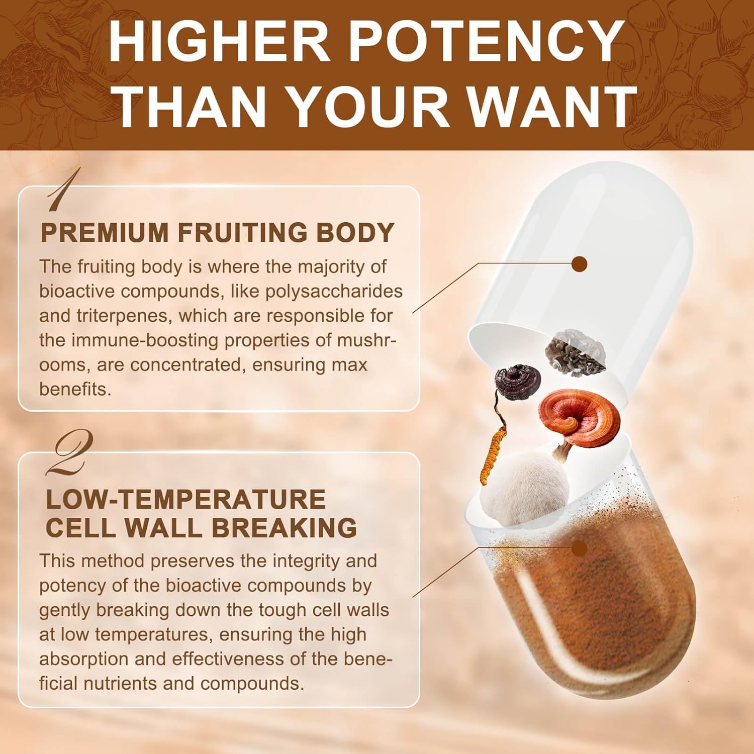 Infographic about mushroom cultivation with text and a visual of a mushroom fruiting body.