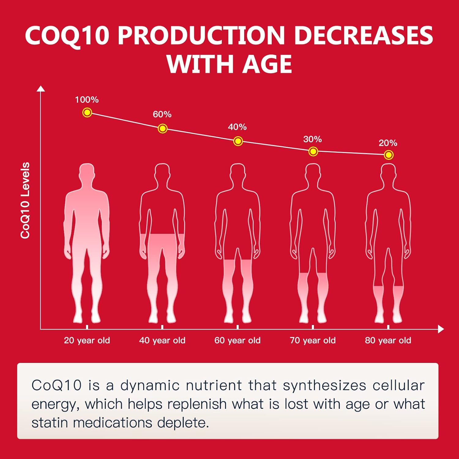Graph showing CoQ10 production decreases with age on a red background