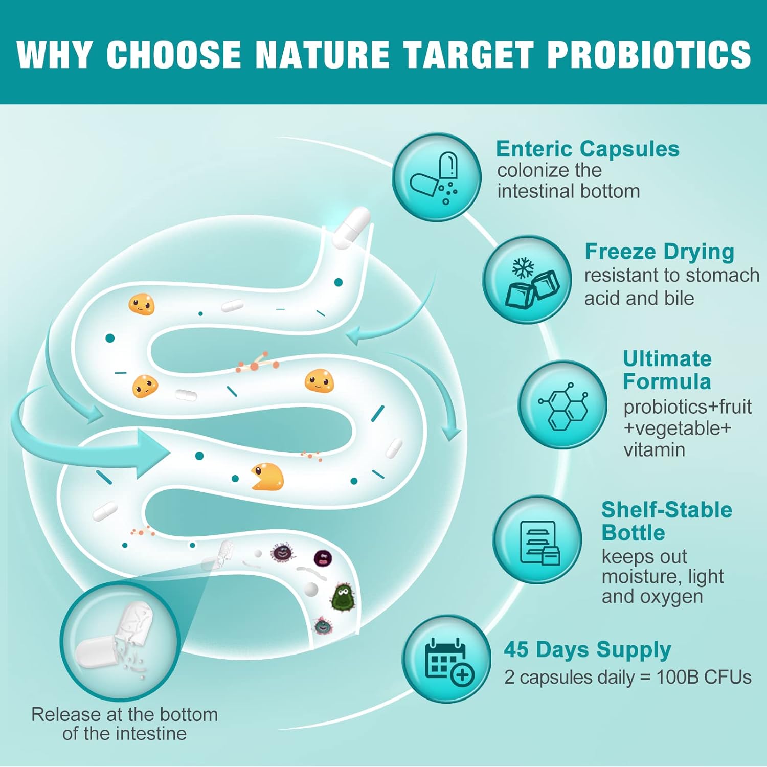 Diagram explaining the benefits of Nature Target Probiotics with icons and text on a teal background.