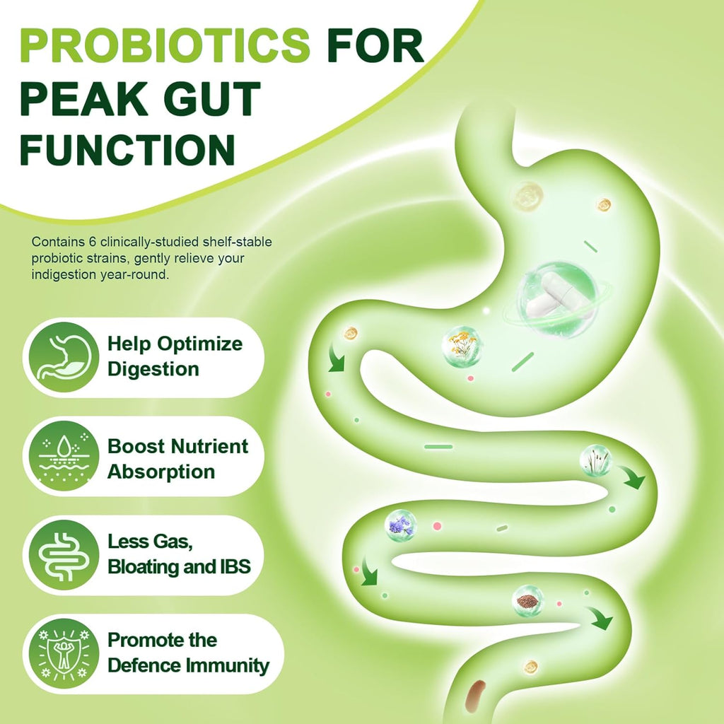 Advertisement for probiotics with a stylized illustration of a gut and text about its benefits on a green background.