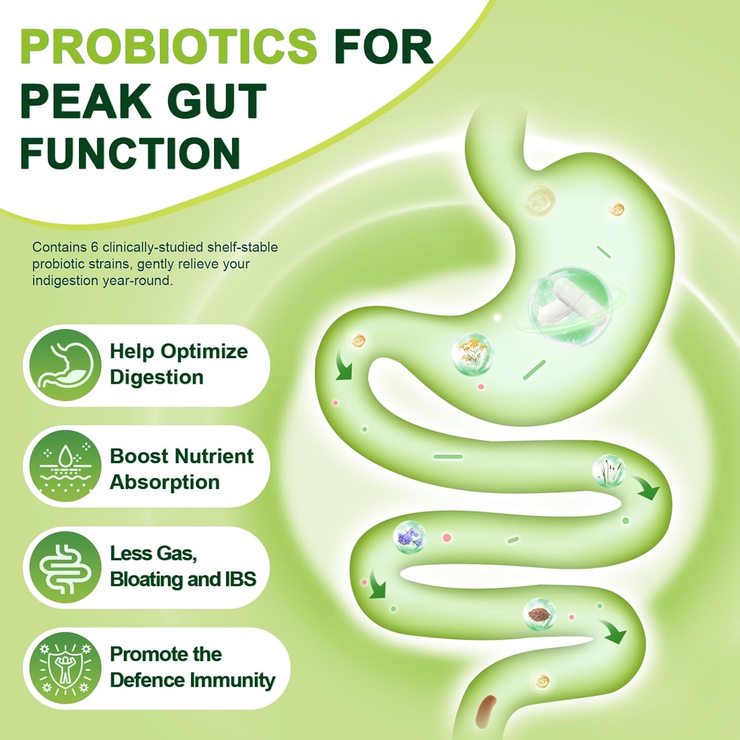 Advertisement for probiotics with a stylized illustration of a gut and text about its benefits on a green background.
