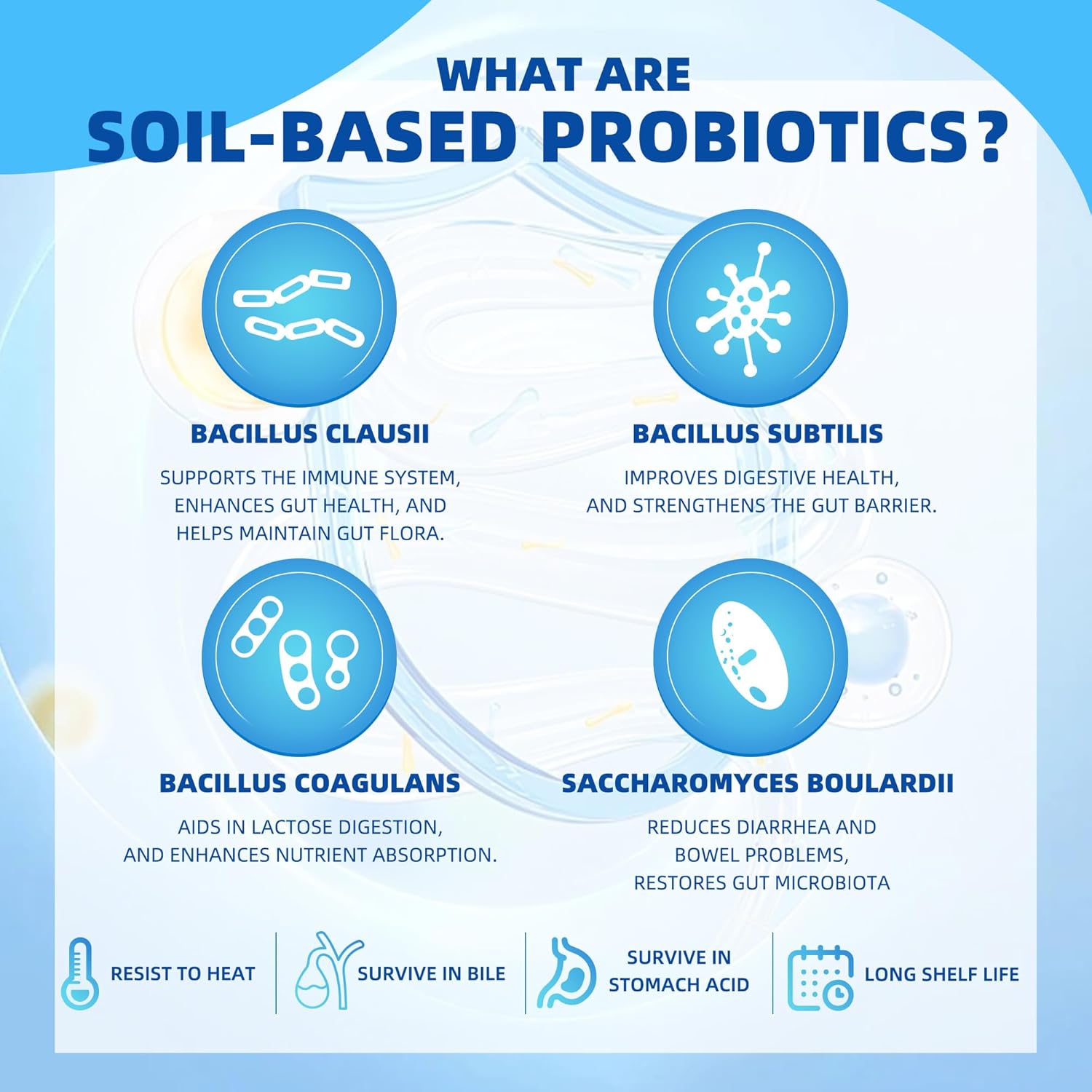 Infographic explaining soil-based probiotics with icons and descriptions.