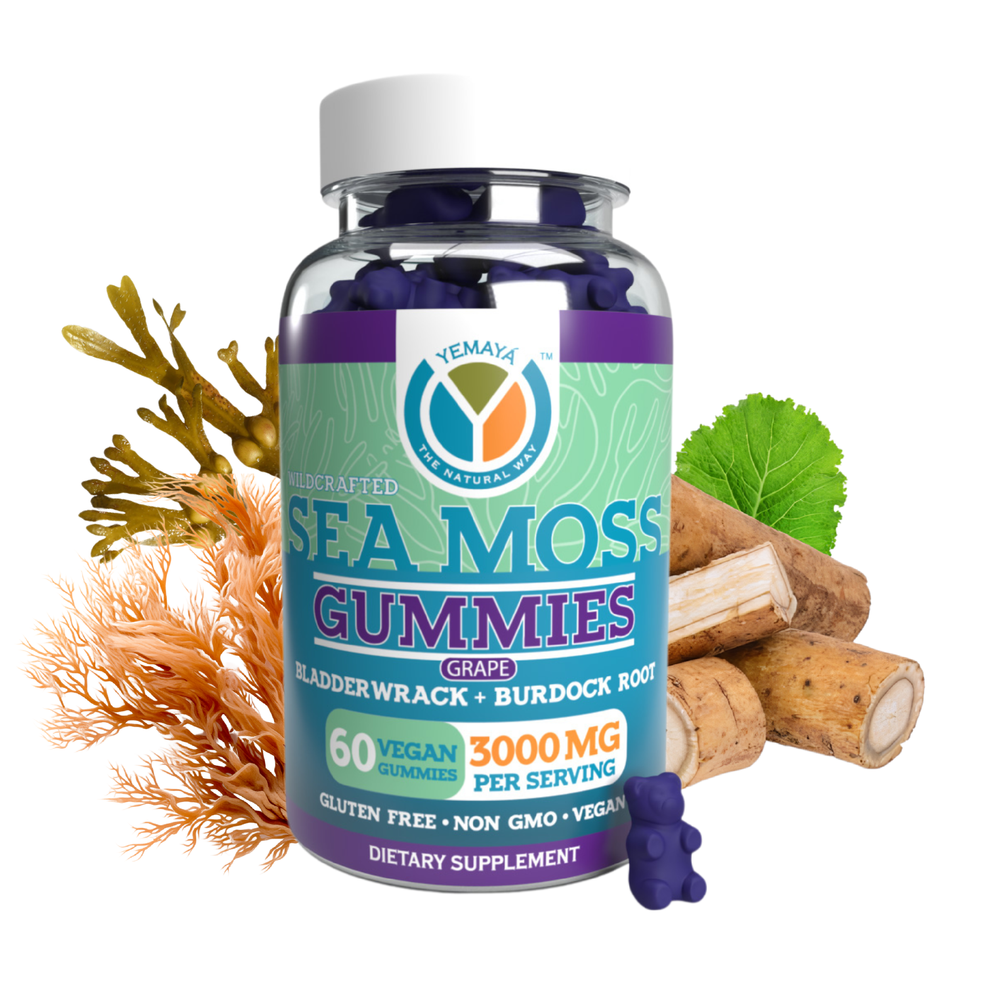 Sea moss gummies bottle with sea moss and roots on a white background