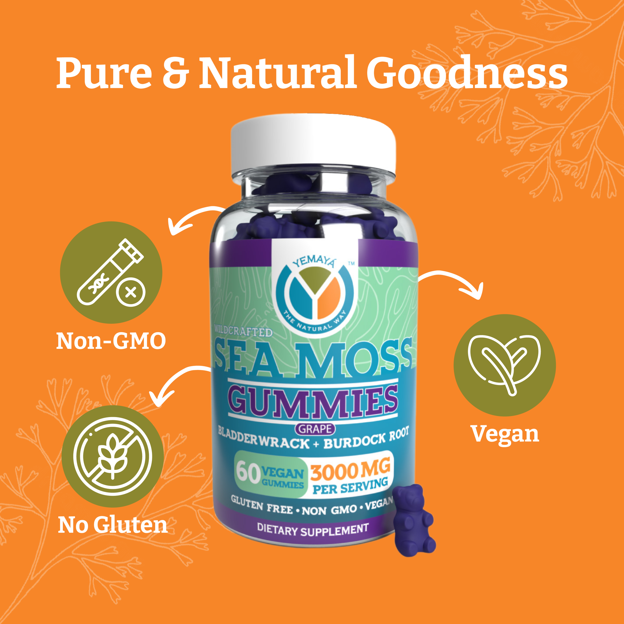 Sea Moss Gummies bottle with branding and health benefits on an orange background