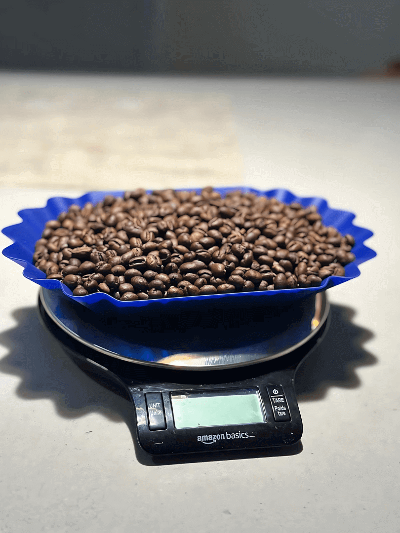 Coffee beans in a blue scoop on an Amazon Basics scale.
