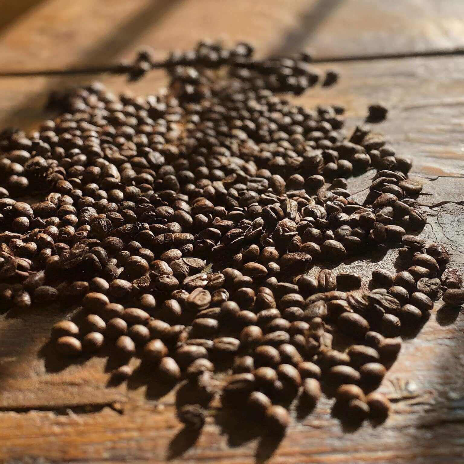 Roasted coffee beans on a wooden surface