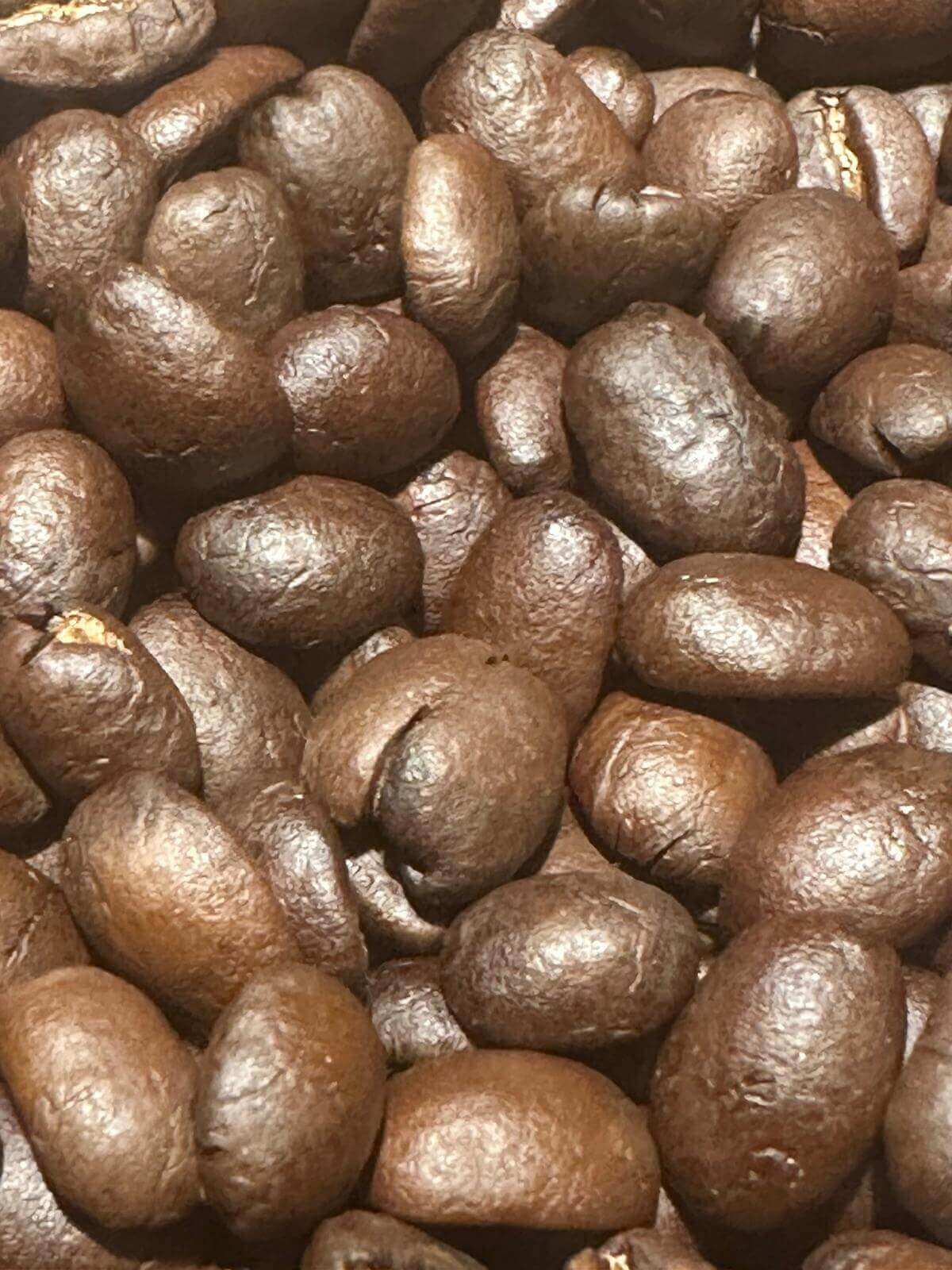Close-up of roasted coffee beans