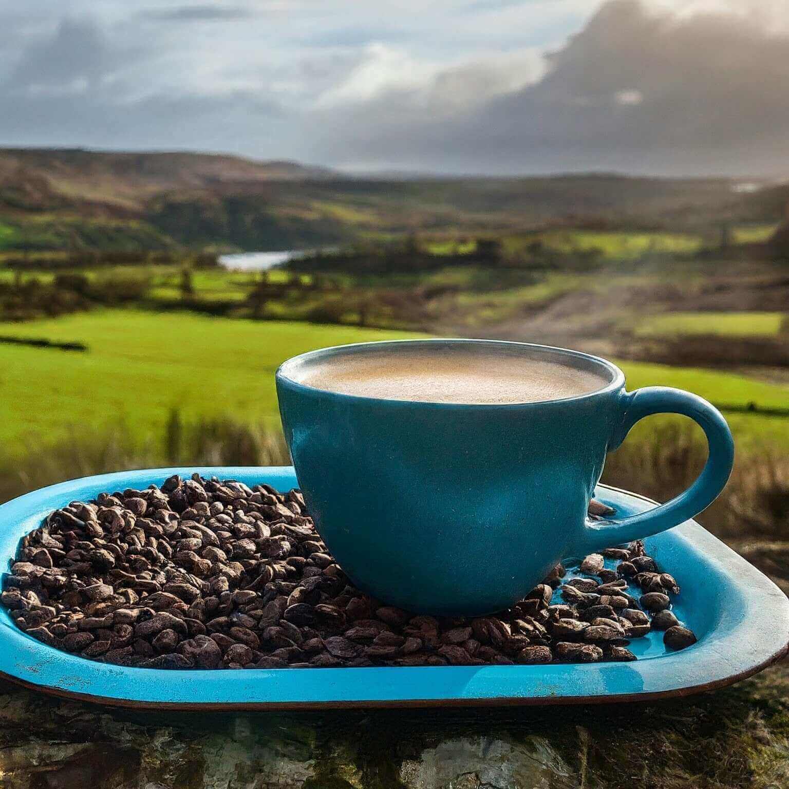Blue mug of coffee with coffee beans on a tray, set against a scenic landscape.