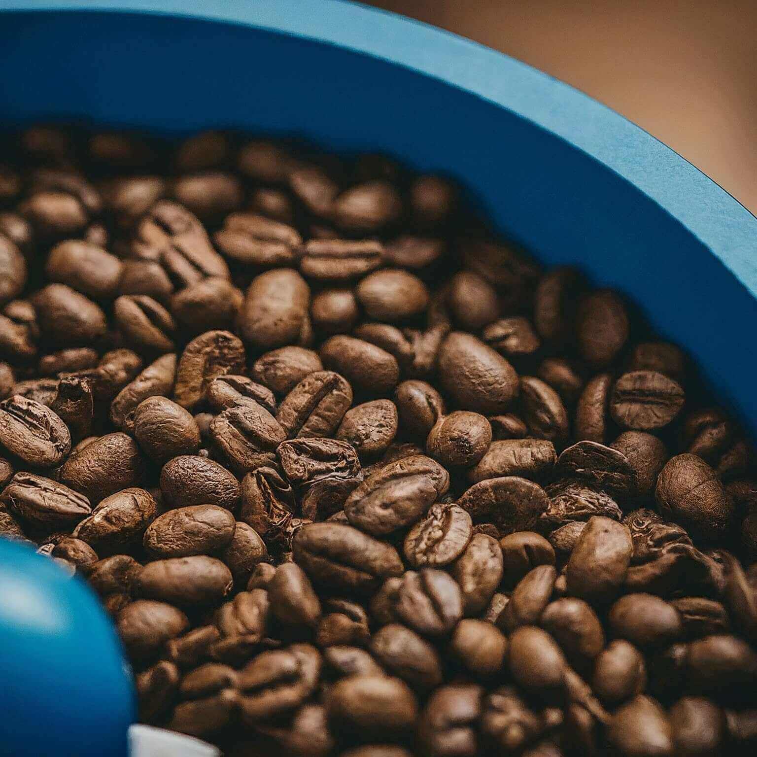 Close-up of roasted coffee beans in a blue container