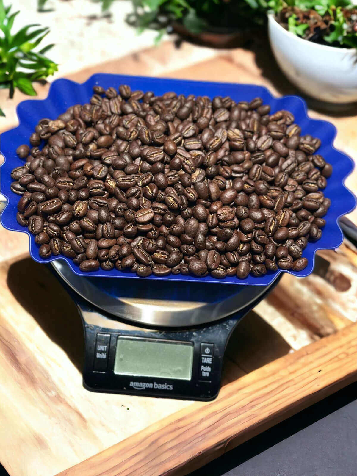 coffee beans on scale
