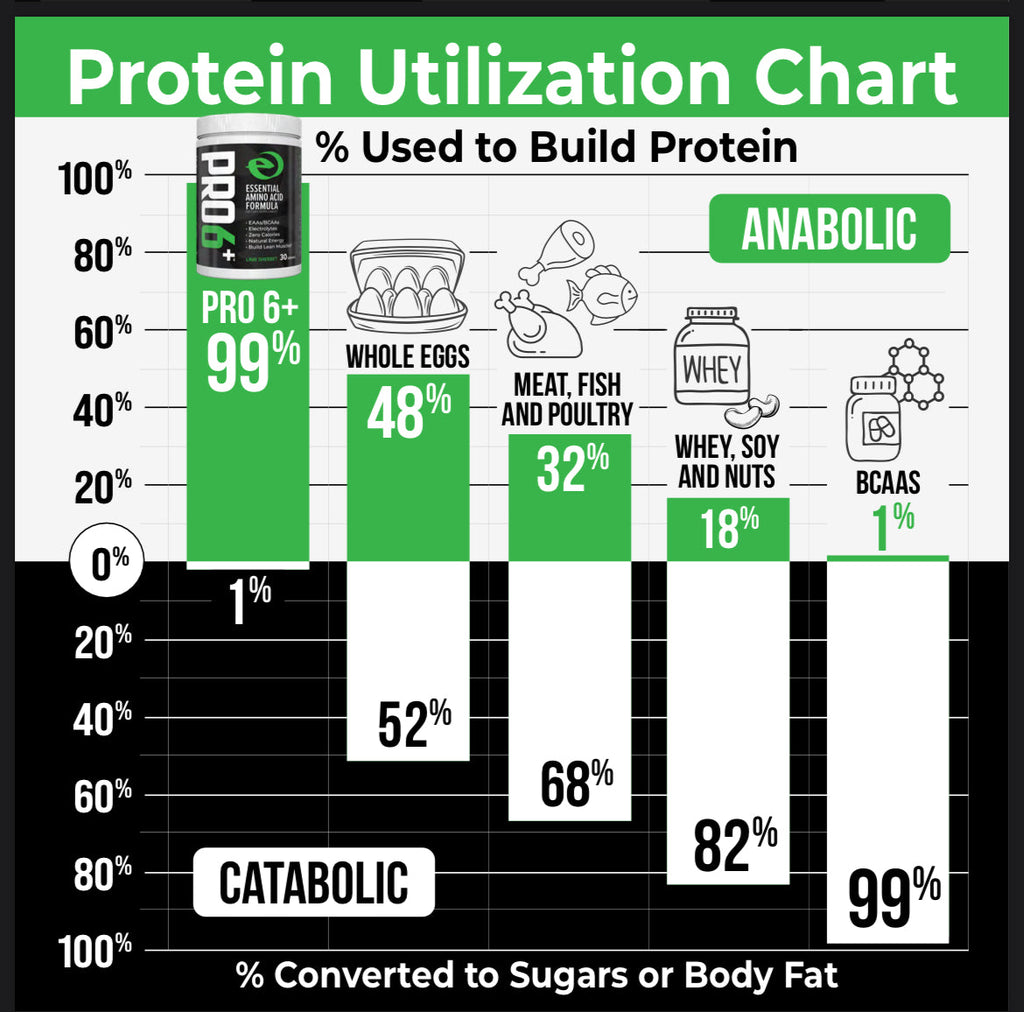 Protein Utilization Chart showing percentage of protein used to build protein from various sources.