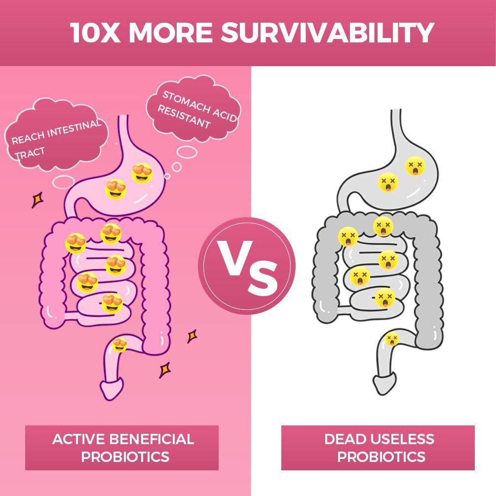 Comparison between active beneficial probiotics and dead useless probiotics on a pink background