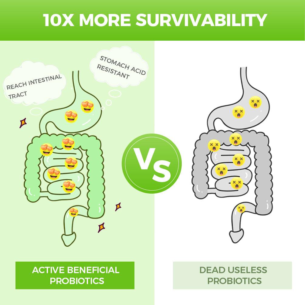 Comparison between active beneficial probiotics and dead useless probiotics with text '10X More Survivability'.
