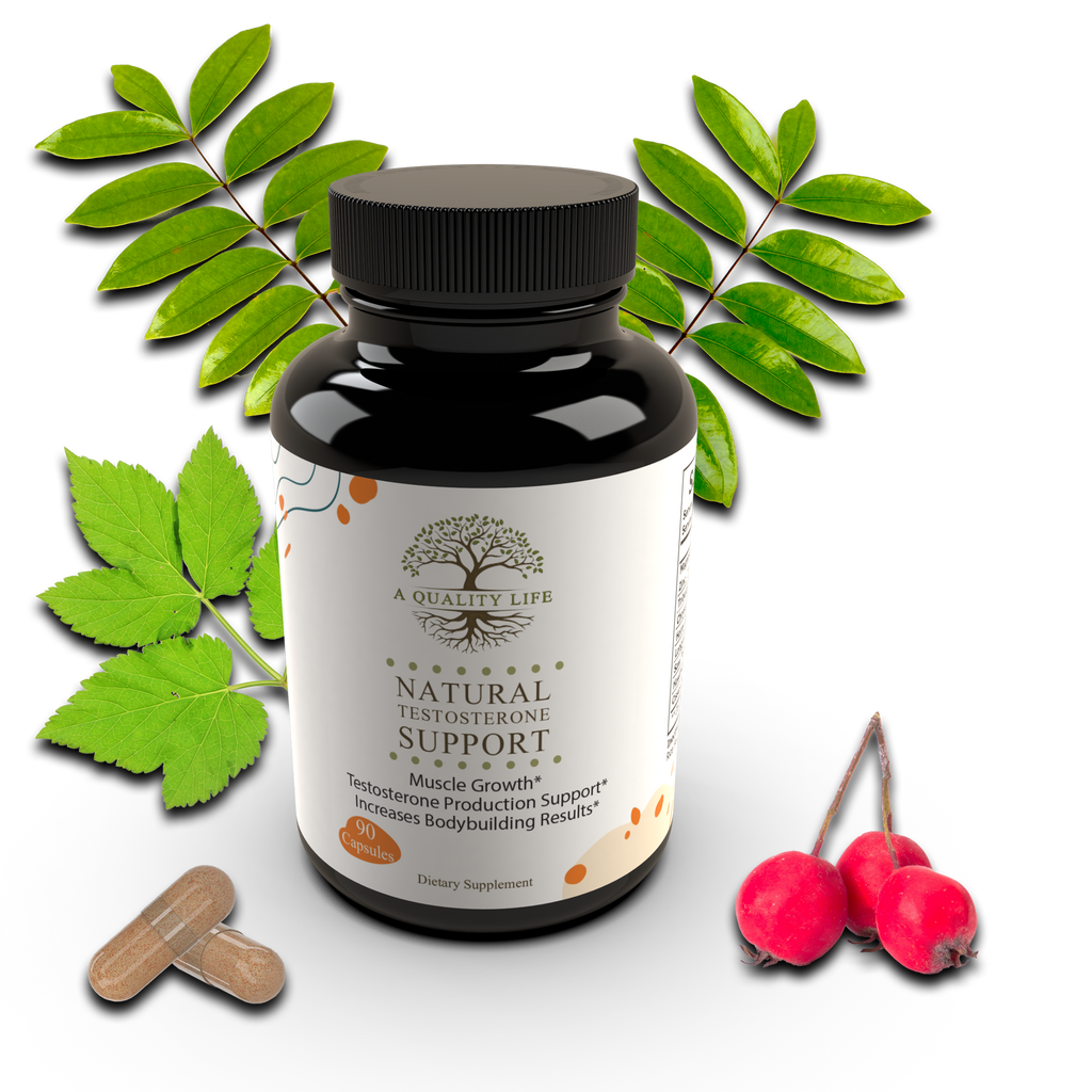 Supplement bottle labeled 'Natural Testosterone Support' with leaves and berries on a white background