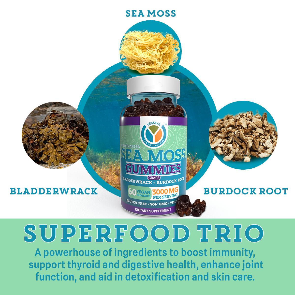 Sea moss gummies with sea moss, bladderwrack, and burdock root ingredients on a white background.