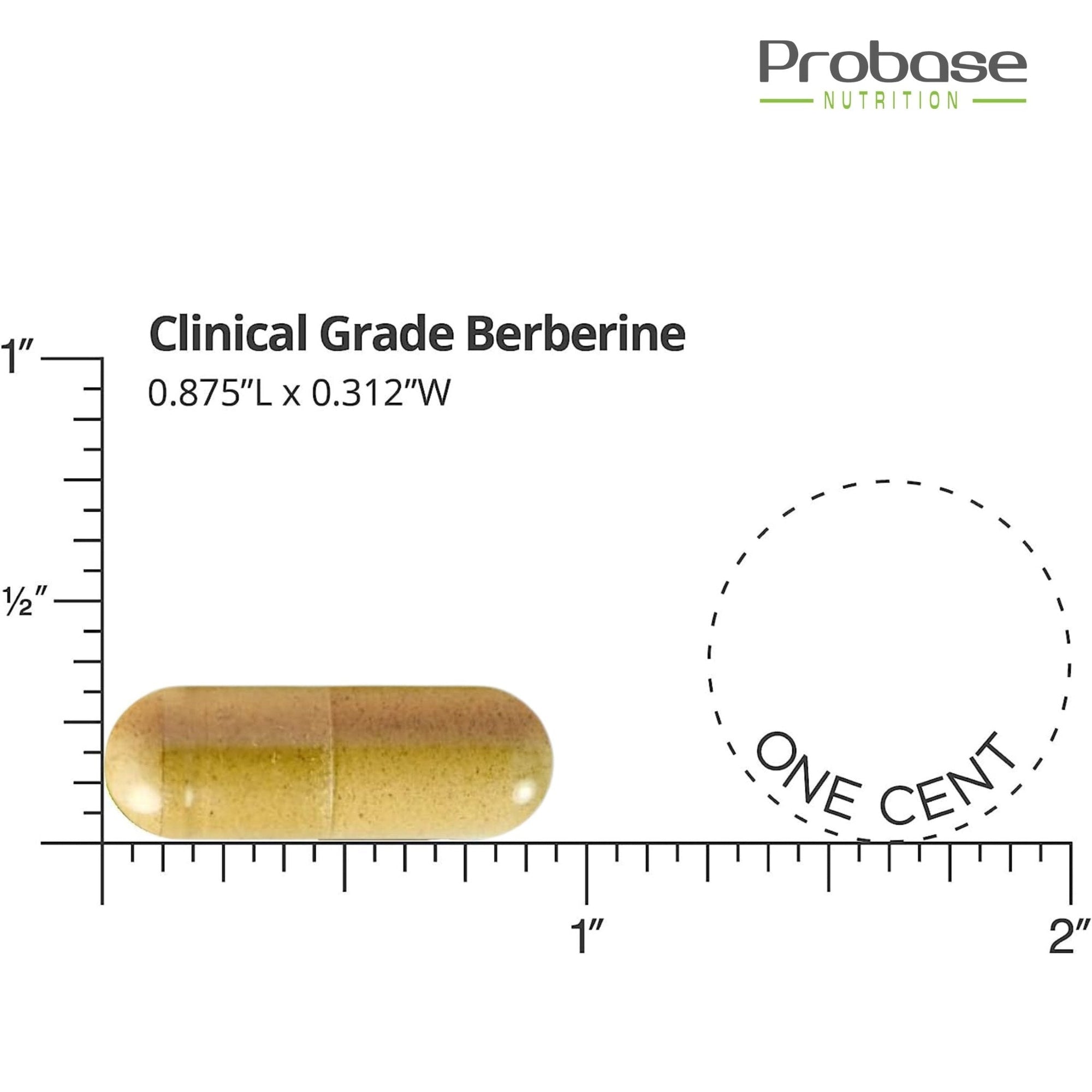 Clinical Grade Berberine capsule with size measurement on a white background, Probase Nutrition branding visible.