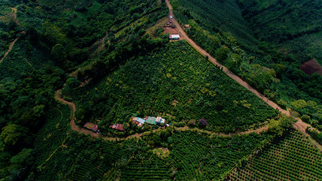 Aerial view of a winding road through a lush green landscape with scattered buildings.