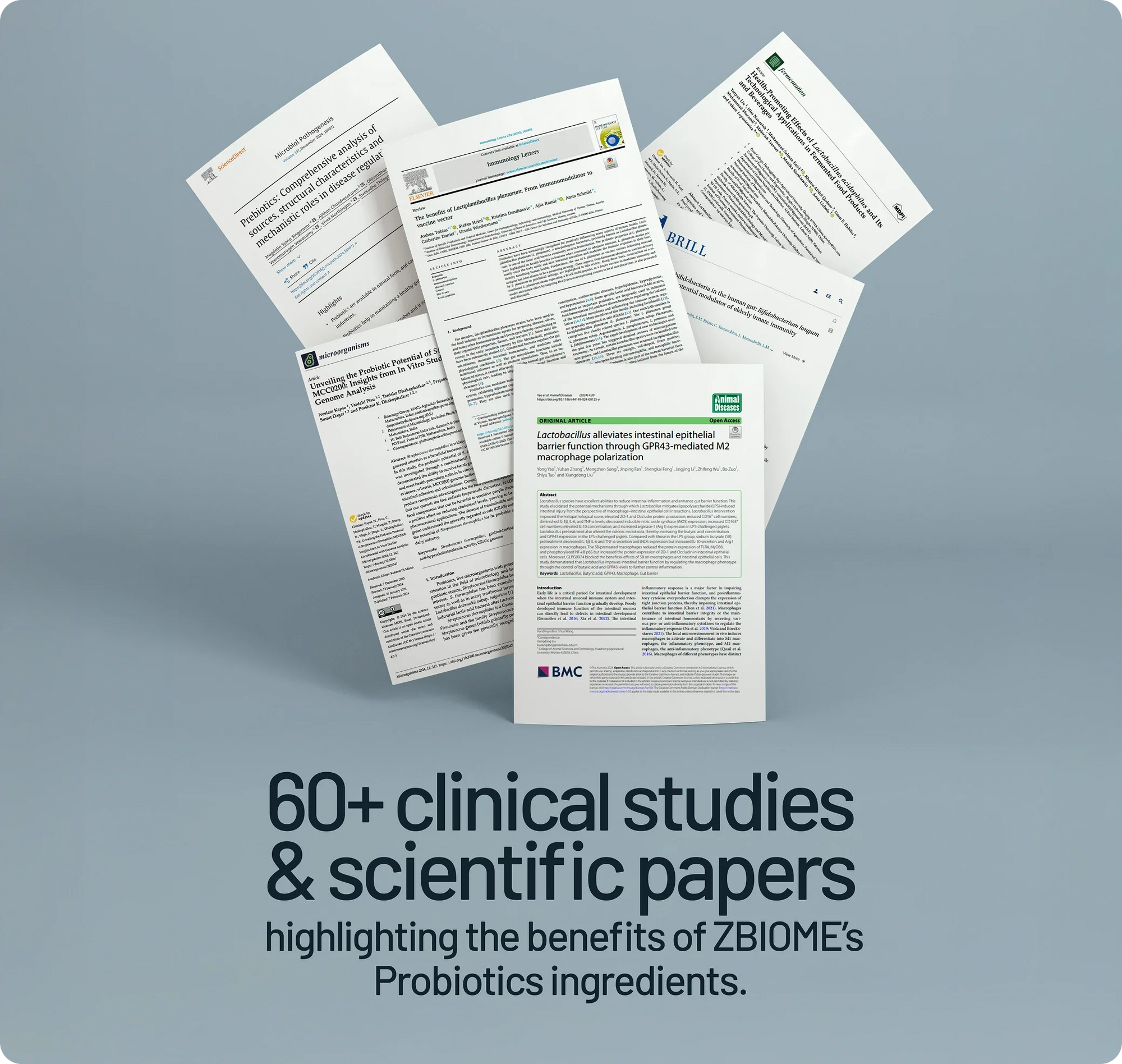 Scientific papers on a gray background with text about ZBIOOME's probiotics.